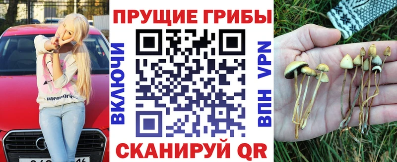 Галлюциногенные грибы MAGIC MUSHROOMS  Рославль 
